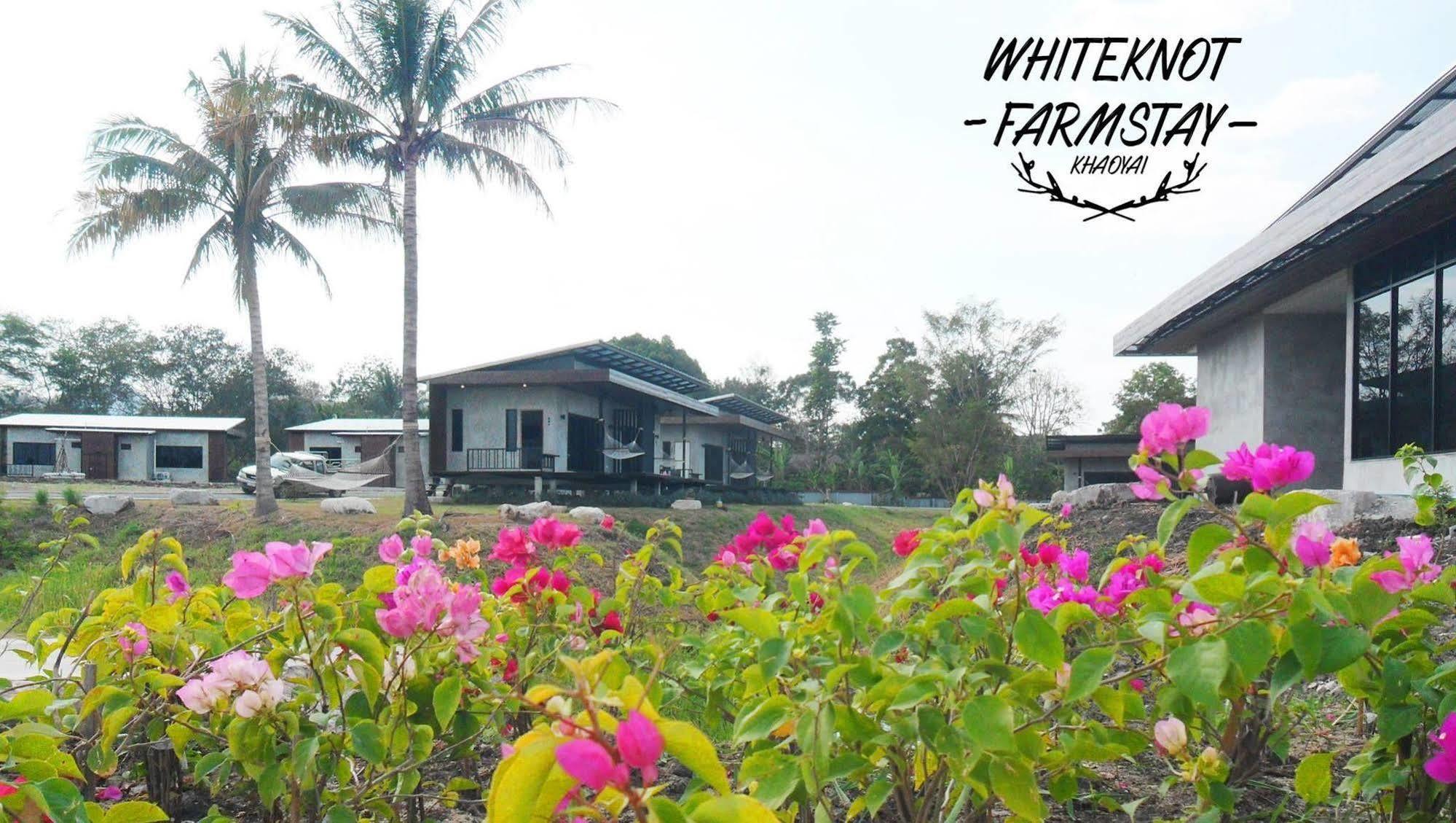 The White Knot Farm Stay Pak Chong Exteriör bild